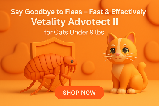 Say Goodbye to Fleas – Fast & Effectively with Vetality Advotect II for Cats