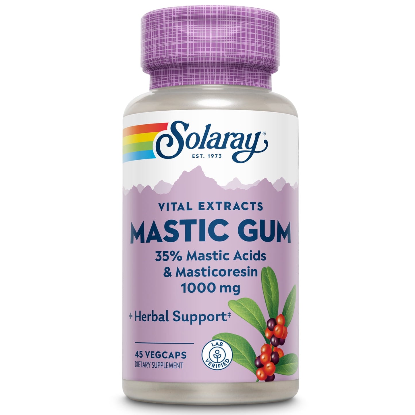 Solaray Mastic Gum Extract | Healthy Gastrointestinal and Digestive Function Support | 1000 Mg | 45 VegCaps, 22 Servings